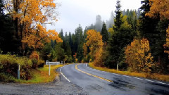 音乐短片 - A Brighter Day