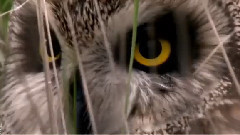 音乐短片 - Written on the wind