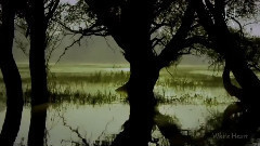 音乐短片 - Hayley Westenra Dark Waltz