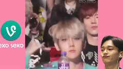 EXO-M,EXO-K,EXO - EXO什么鬼系列之魔性搞Siao的茶蛋Vine合集超长版