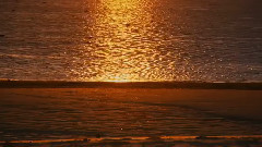 音乐短片 - 太阳升起的地方