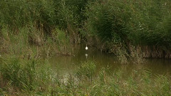 音乐短片 - Sky And Earth