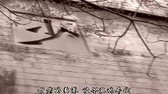王玉玺 - 那月光78改815带旋律