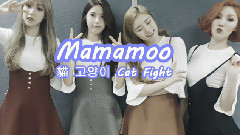 MAMAMOO - 猫(Cat Fight) 繁中歌词 认声