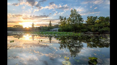 音乐短片 - 玉渊潭