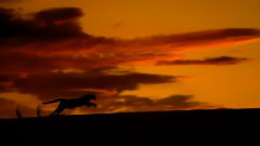 音乐短片 - When We In Illusion