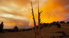 音乐短片 - чилаут йога