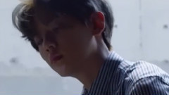 朴灿烈(EXO),边伯贤(EXO) - 夜访吸血鬼