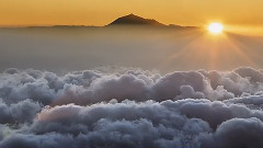 音乐短片 - 维达