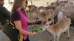 音乐短片 - Lana's New Pet Tiger !!!拉娜的新宠物老虎! ! !