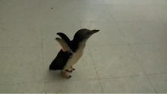 音乐短片 - новая звезда интернета