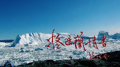 格陵兰情书