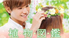 影视原声,Flower - 