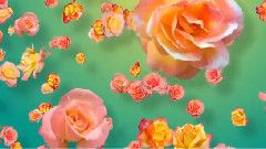 音乐短片 - Guitarra Del Amor