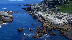 音乐短片 - 碧海潮生曲