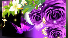 音乐短片 - The Best Of Italo Disco New Generation