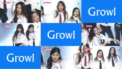 I.O.I,韩国群星 - Growl