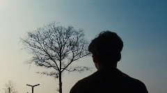 那春天的记忆