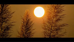 音乐短片,风景 - 芦苇之歌