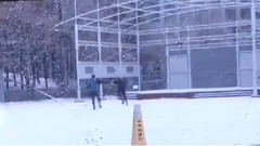 防弹少年团 - 雪花