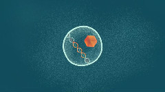 音乐短片 - How Viruses Keep Us Healthy