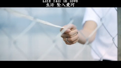 防弹少年团,Rap Monster(防弹少年团),V(防弹少年团),田柾国(防弹少年团) - Life,Fall In Love