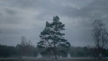 Frenna - Langste SMS