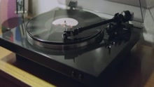 Puggy - Lonely Town