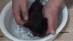 音乐短片 - Super shower bath of small black cat to help dig ear small black cat