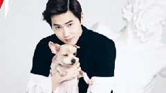 SUHO(EXO),EXO - T - W Korea Better Together