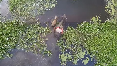 乐动城市,音乐短片,轻音乐,风景 - 越南自然风光