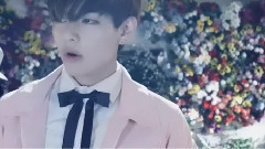V(防弹少年团),防弹少年团 - BTS MV金泰亨Cut