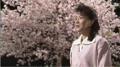 坂本冬美 - 祝い酒
