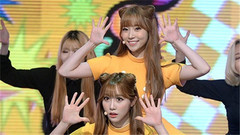 COCOSORI - Exquisite! - Show Champion 现场版 16/05/04