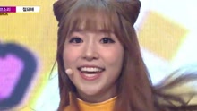 CocoSori - Exquisite! 现场版 16/05/04
