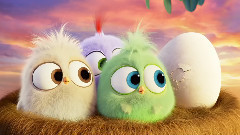 影视原声 - 母亲节特别版预告片:来自刚孵化的小鸟的信息!