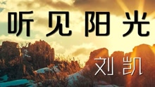  - 刘凯【听见阳光】20160509期