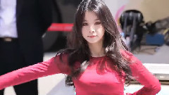 Fiestar - Vista