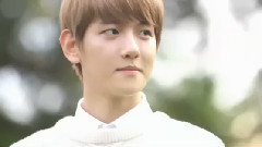 边伯贤(EXO),EXO - Pretty Boy