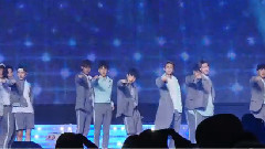 Seventeen - Mansae