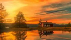 音乐短片 - 浓情