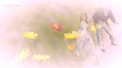 音乐短片 - Serenade For You