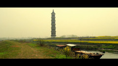 音乐短片,风景 - 大湖名城(合肥)风光系列 春满长临河