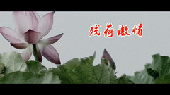 音乐短片 - 残荷激情