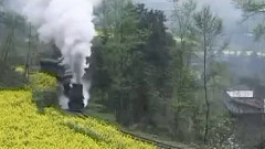 音乐短片 - 油菜花开