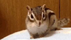 音乐短片 - 搞笑瞬间合集