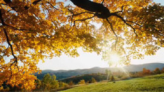 音乐短片 - Serenity