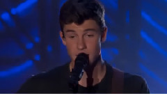 Shawn Mendes - Stitches