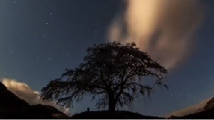 音乐短片 - Town Of Windmill