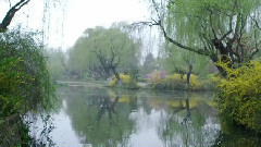 王玉玺 - 运河畔2016